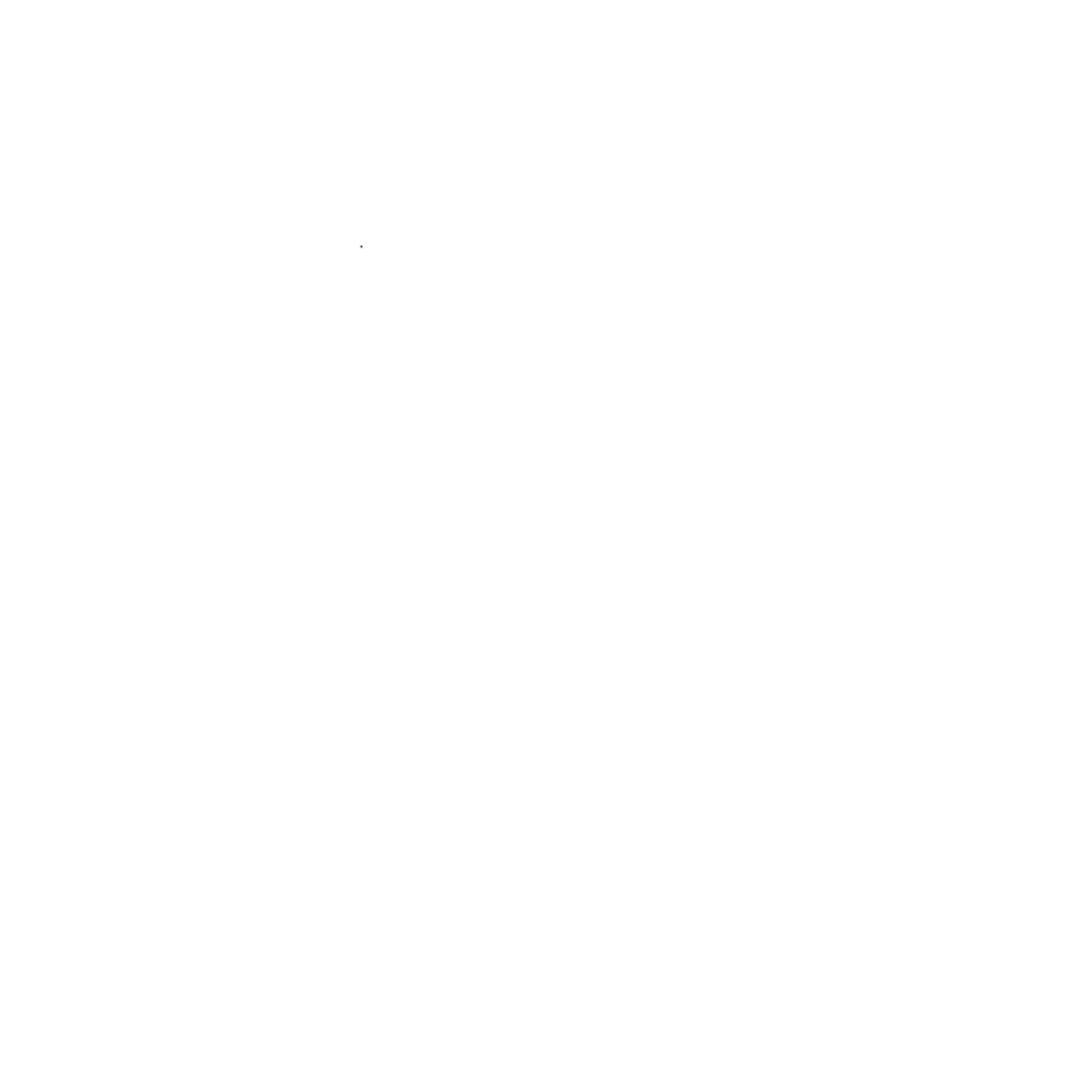NXT step logo